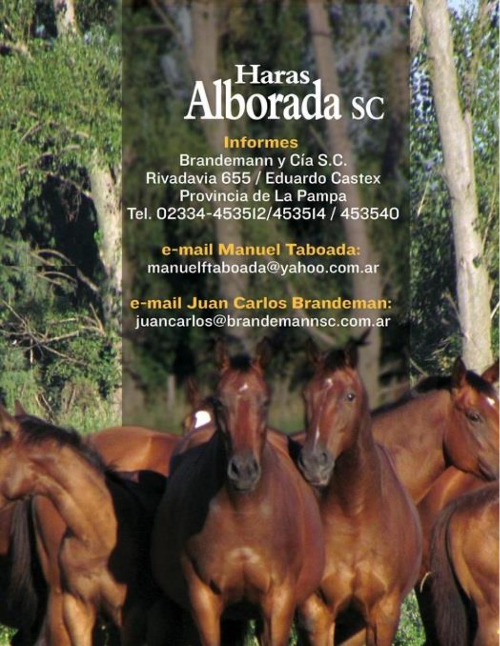 Vista previa del archivo PDF catalogo-2013.pdf