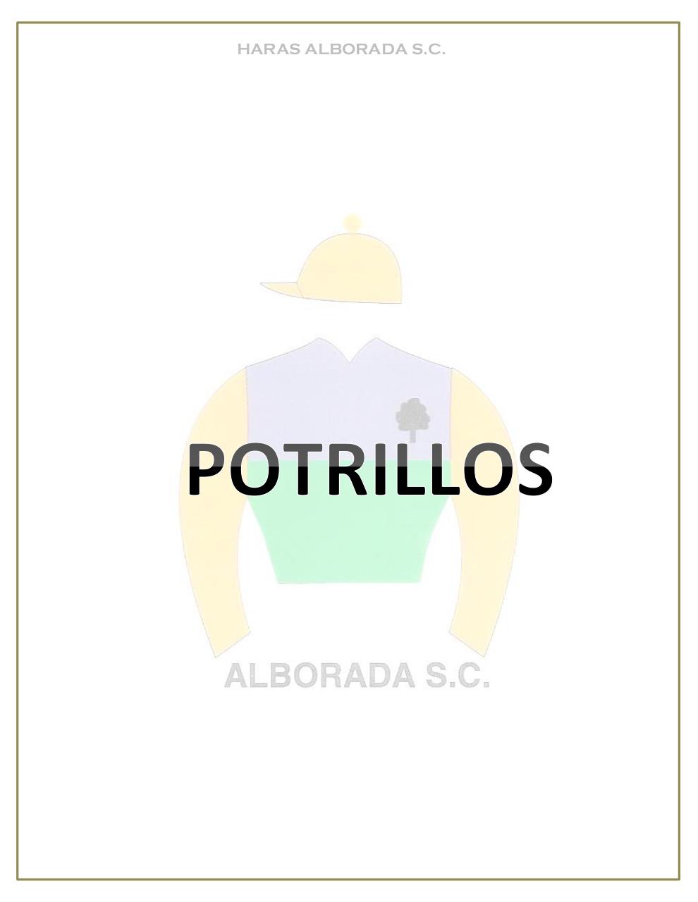 Vista previa del archivo PDF catalogo-2013.pdf