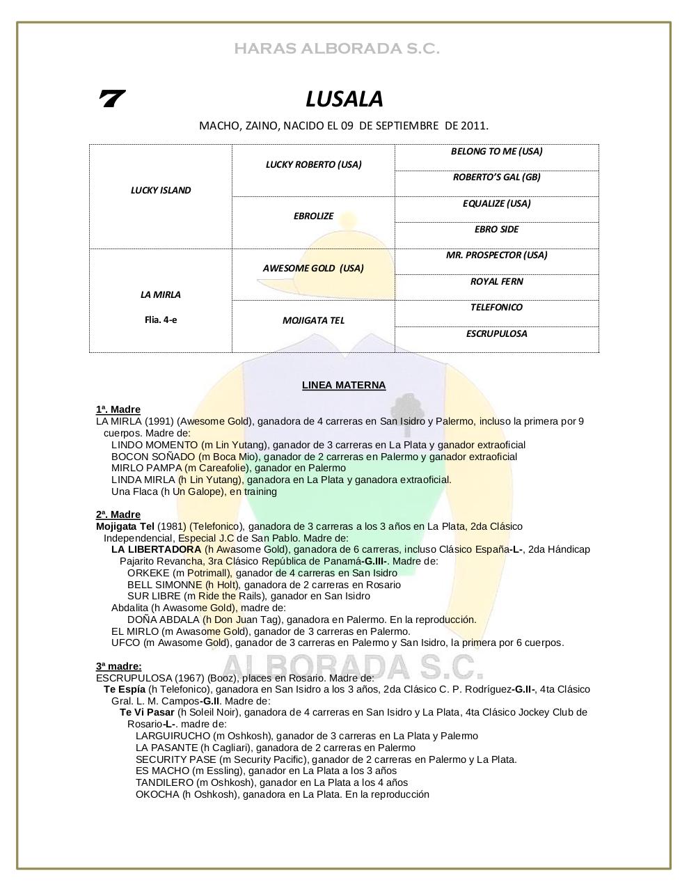 Vista previa del archivo PDF catalogo-2013.pdf