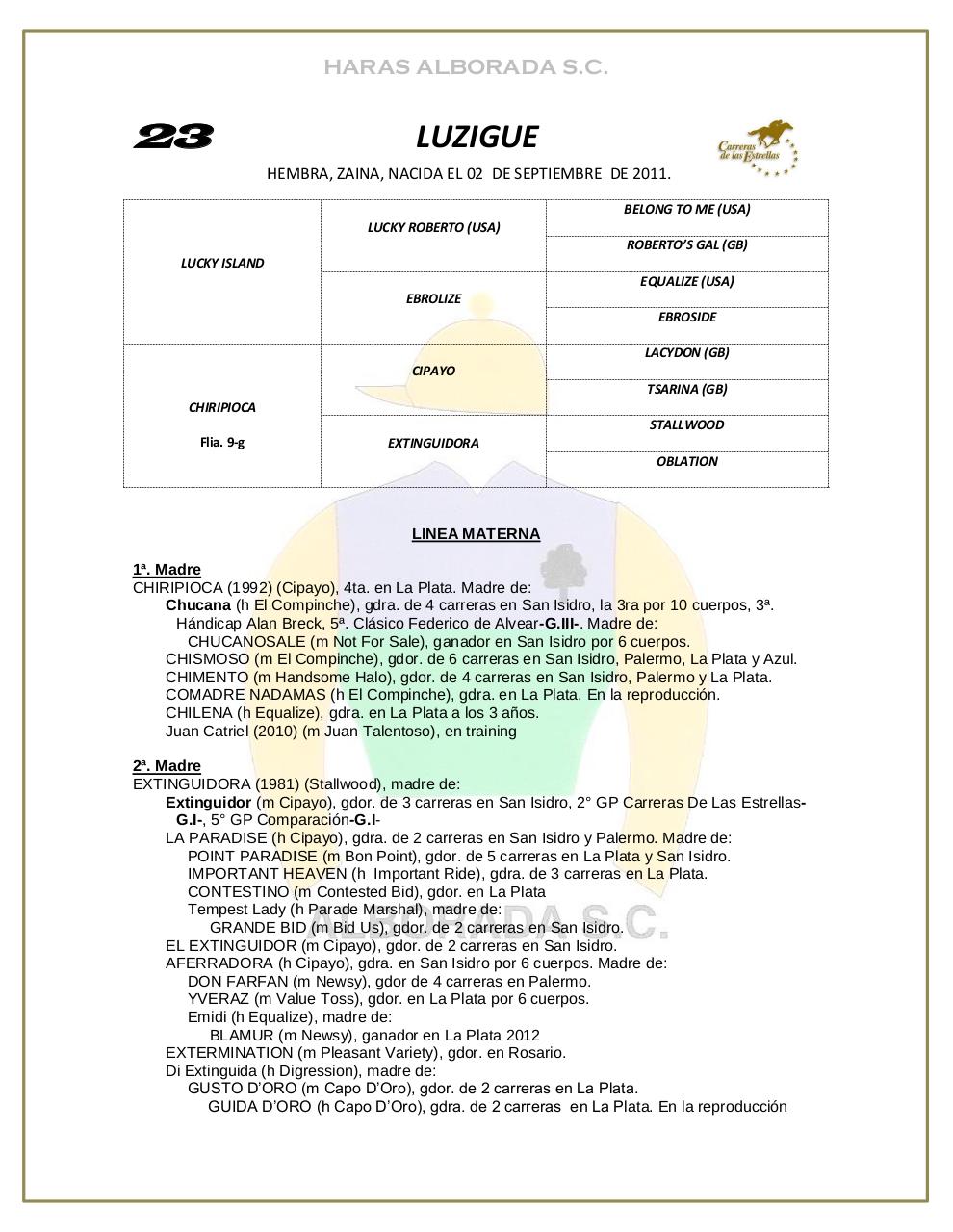 Vista previa del archivo PDF catalogo-2013.pdf