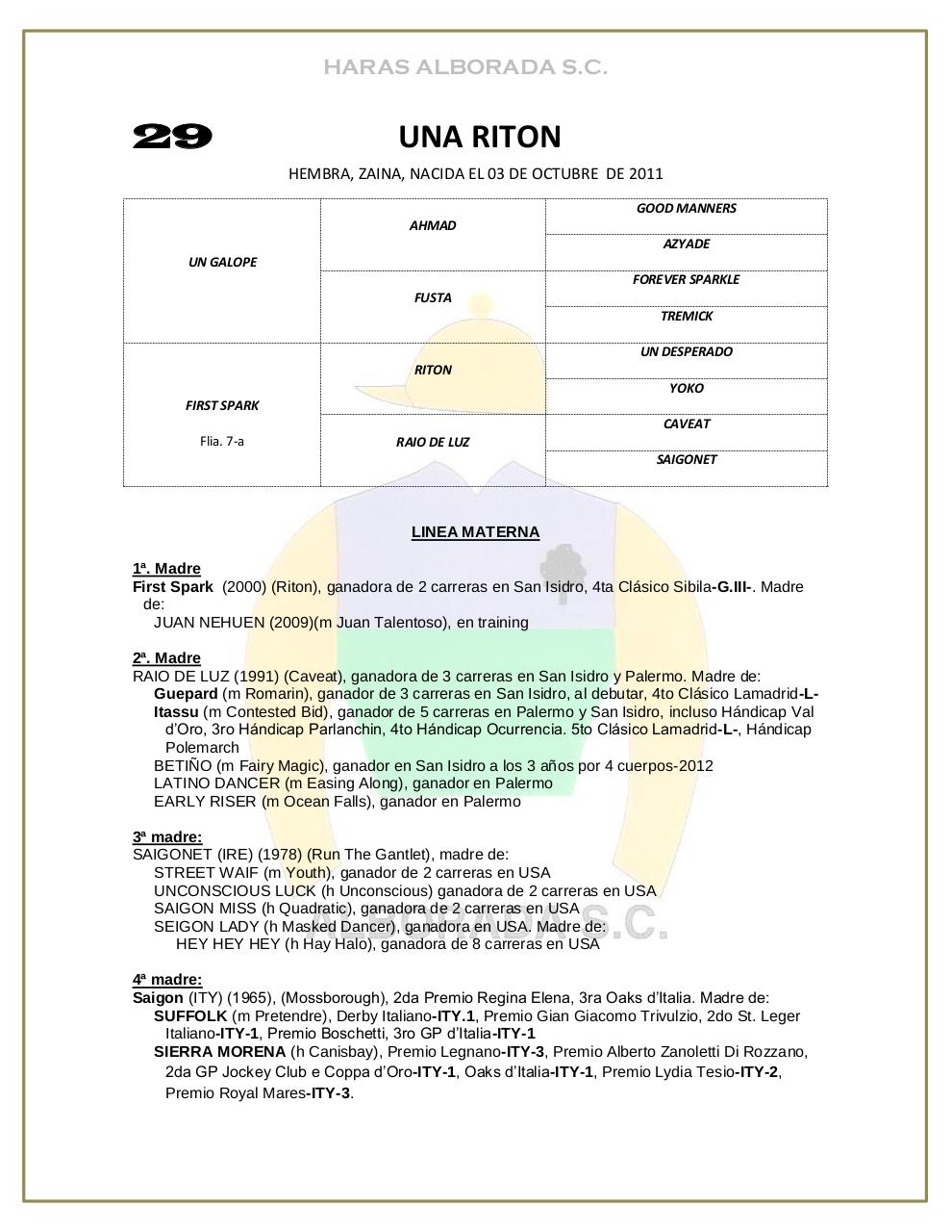 Vista previa del archivo PDF catalogo-2013.pdf