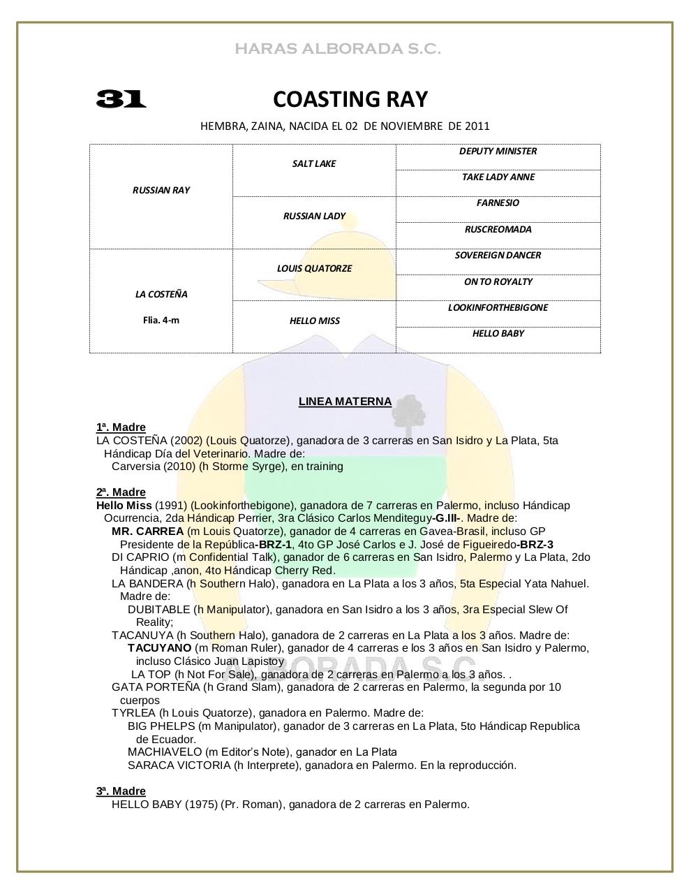Vista previa del archivo PDF catalogo-2013.pdf