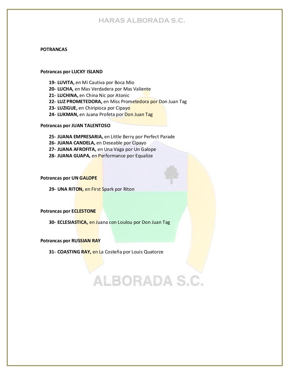 Vista previa del archivo PDF catalogo-2013.pdf