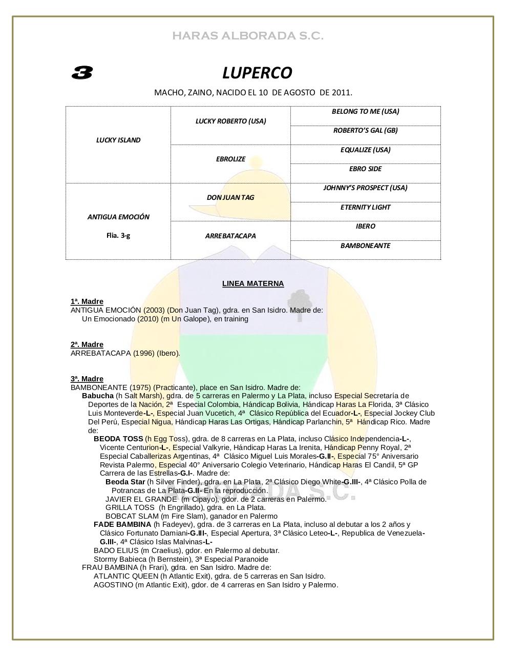 Vista previa del archivo PDF catalogo-2013.pdf