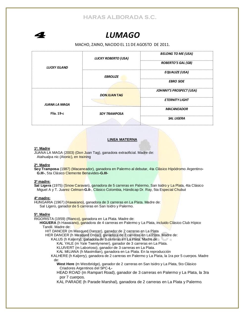 Vista previa del archivo PDF catalogo-2013.pdf