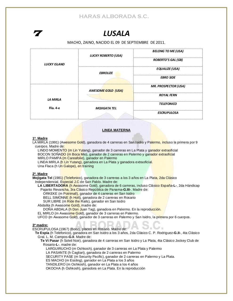 Vista previa del archivo PDF catalogo-2013.pdf