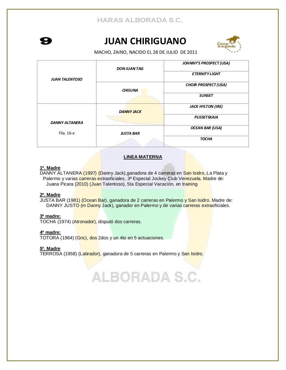 Vista previa del archivo PDF catalogo-2013.pdf