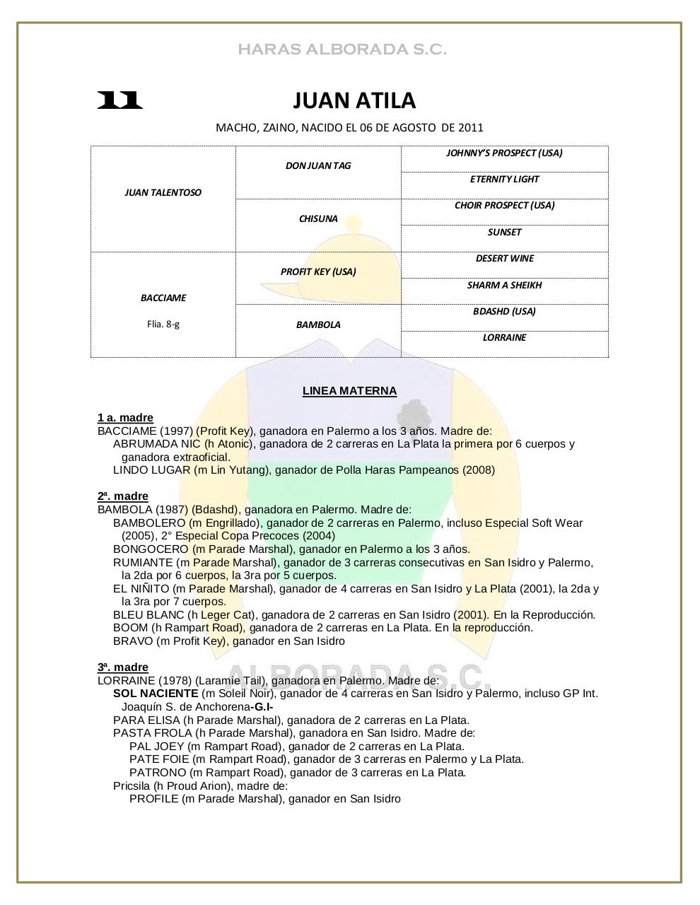 Vista previa del archivo PDF catalogo-2013.pdf