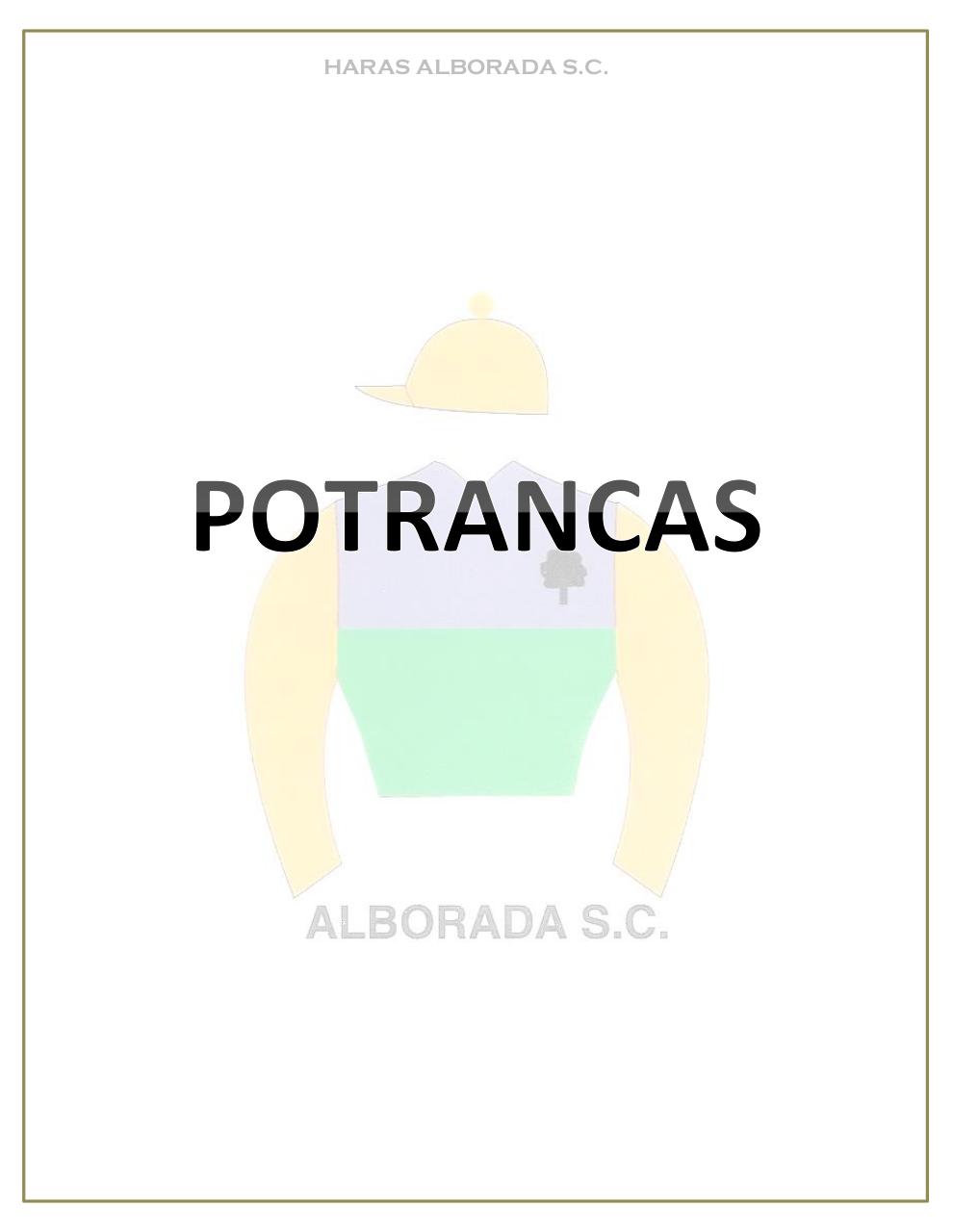 Vista previa del archivo PDF catalogo-2013.pdf