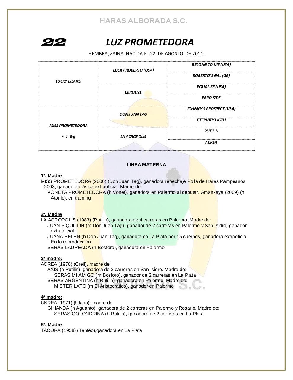 Vista previa del archivo PDF catalogo-2013.pdf