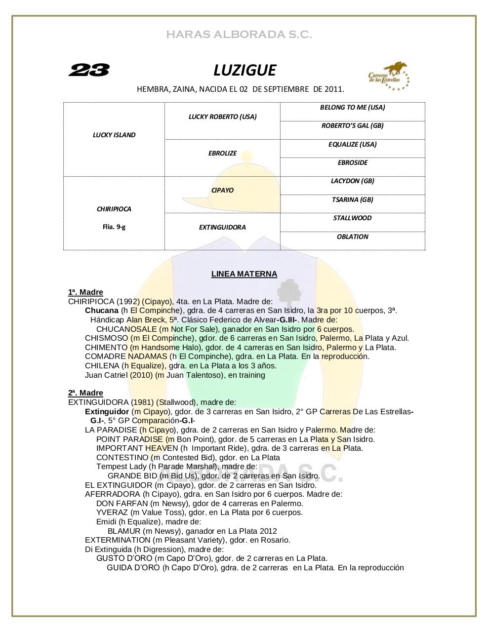 Vista previa del archivo PDF catalogo-2013.pdf