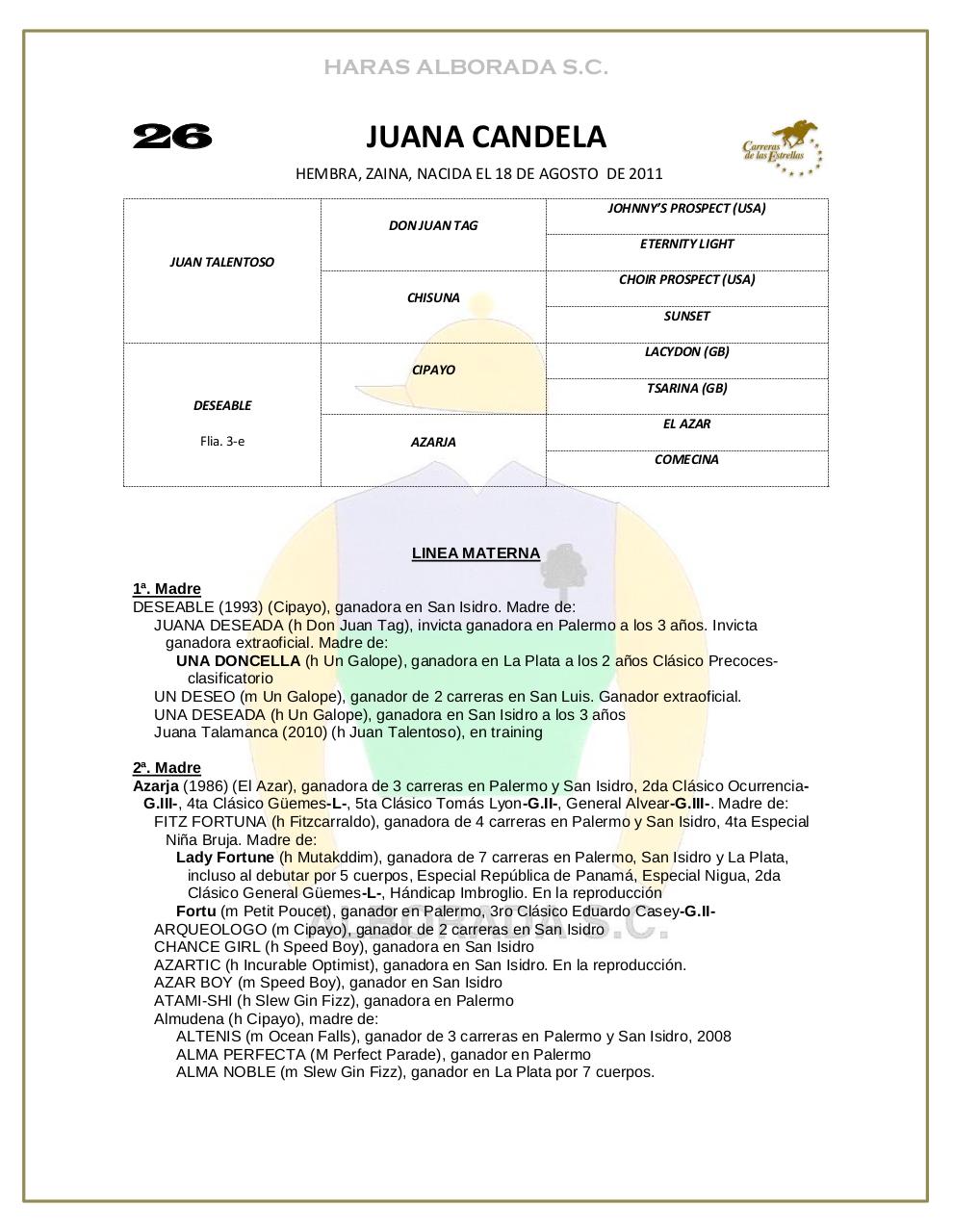 Vista previa del archivo PDF catalogo-2013.pdf