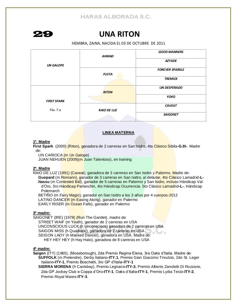Vista previa del archivo PDF catalogo-2013.pdf