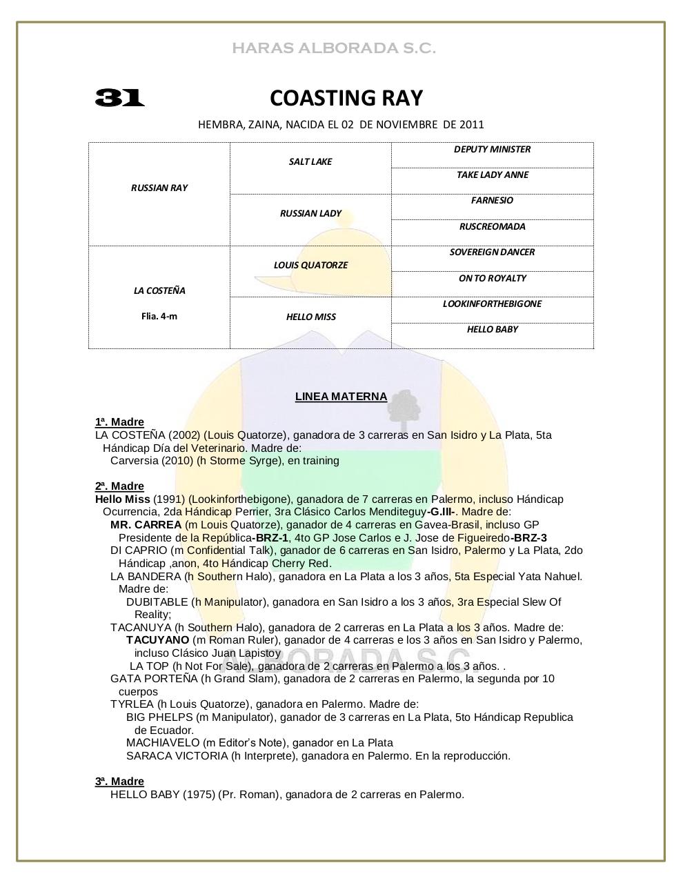 Vista previa del archivo PDF catalogo-2013.pdf