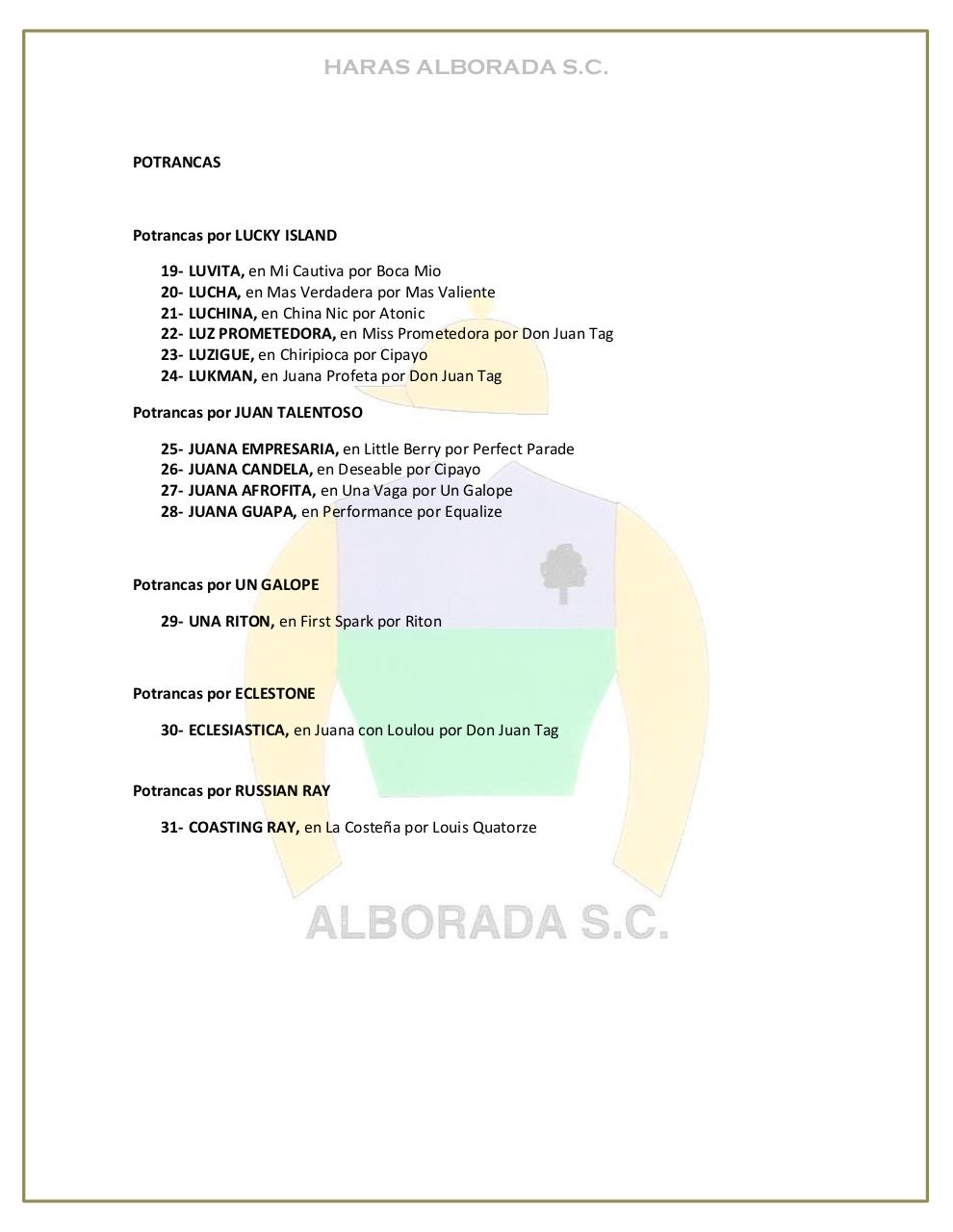 Vista previa del archivo PDF catalogo-2013.pdf