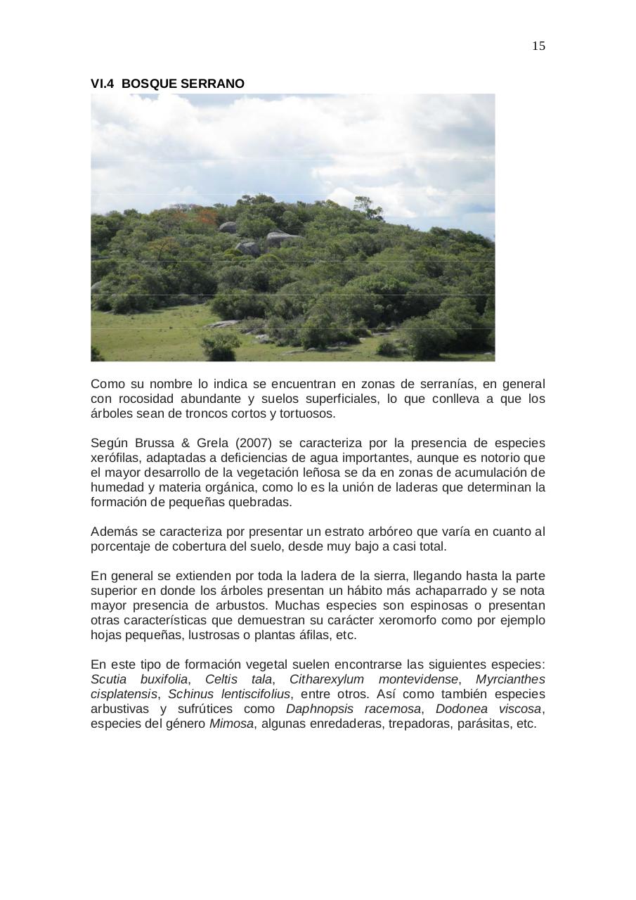 Vista previa del archivo PDF aratir-flora.pdf