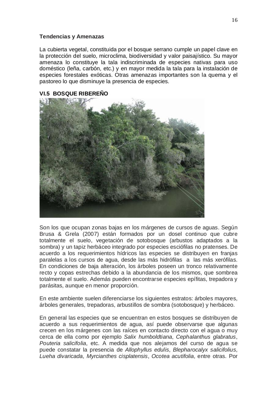 Vista previa del archivo PDF aratir-flora.pdf