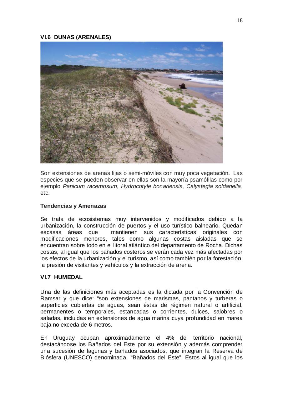 Vista previa del archivo PDF aratir-flora.pdf