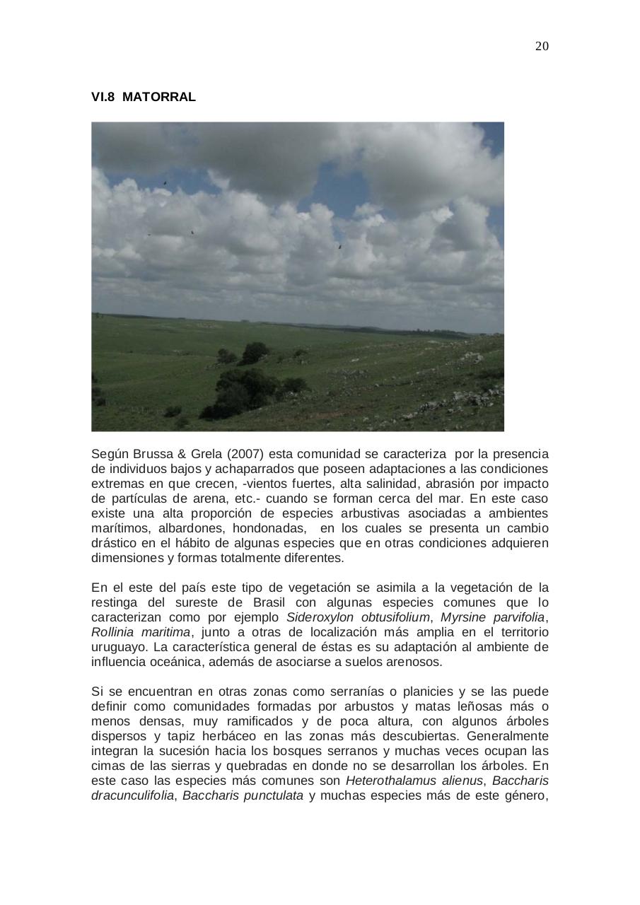 Vista previa del archivo PDF aratir-flora.pdf