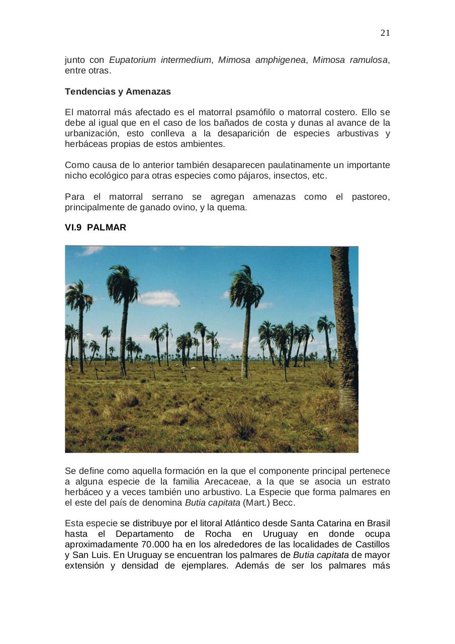 Vista previa del archivo PDF aratir-flora.pdf