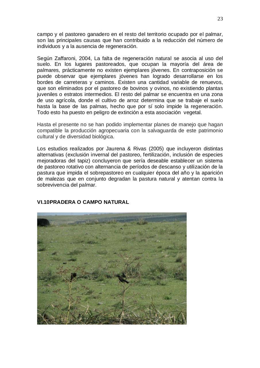 Vista previa del archivo PDF aratir-flora.pdf