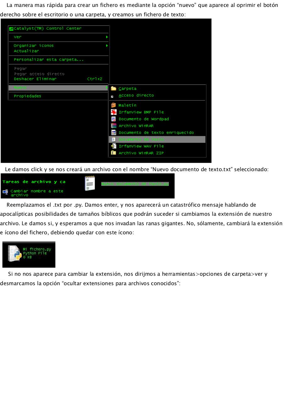 Vista previa del archivo PDF manual-python.pdf