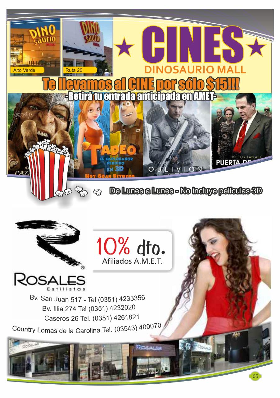 Vista previa del archivo PDF amet-revista3.pdf