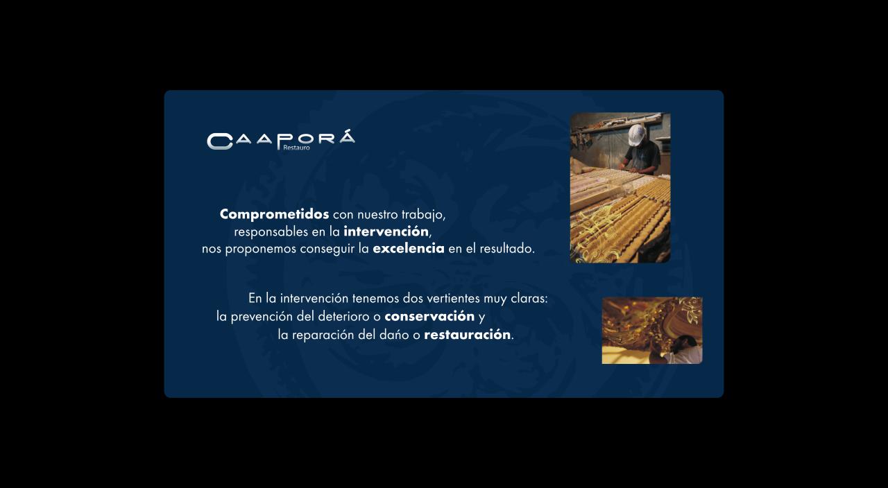 Vista previa del archivo PDF caapora.pdf