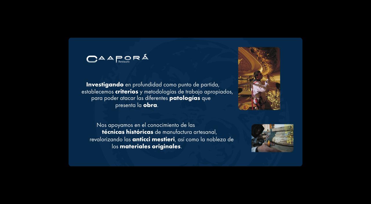 Vista previa del archivo PDF caapora.pdf