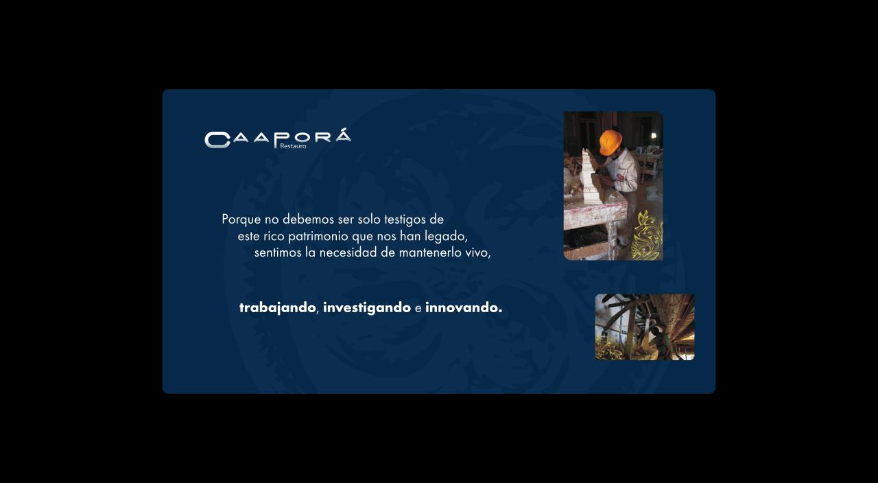 Vista previa del archivo PDF caapora.pdf