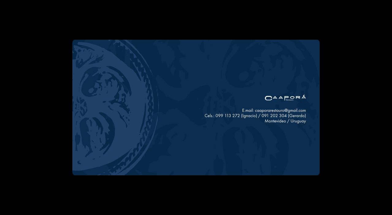 Vista previa del archivo PDF caapora.pdf