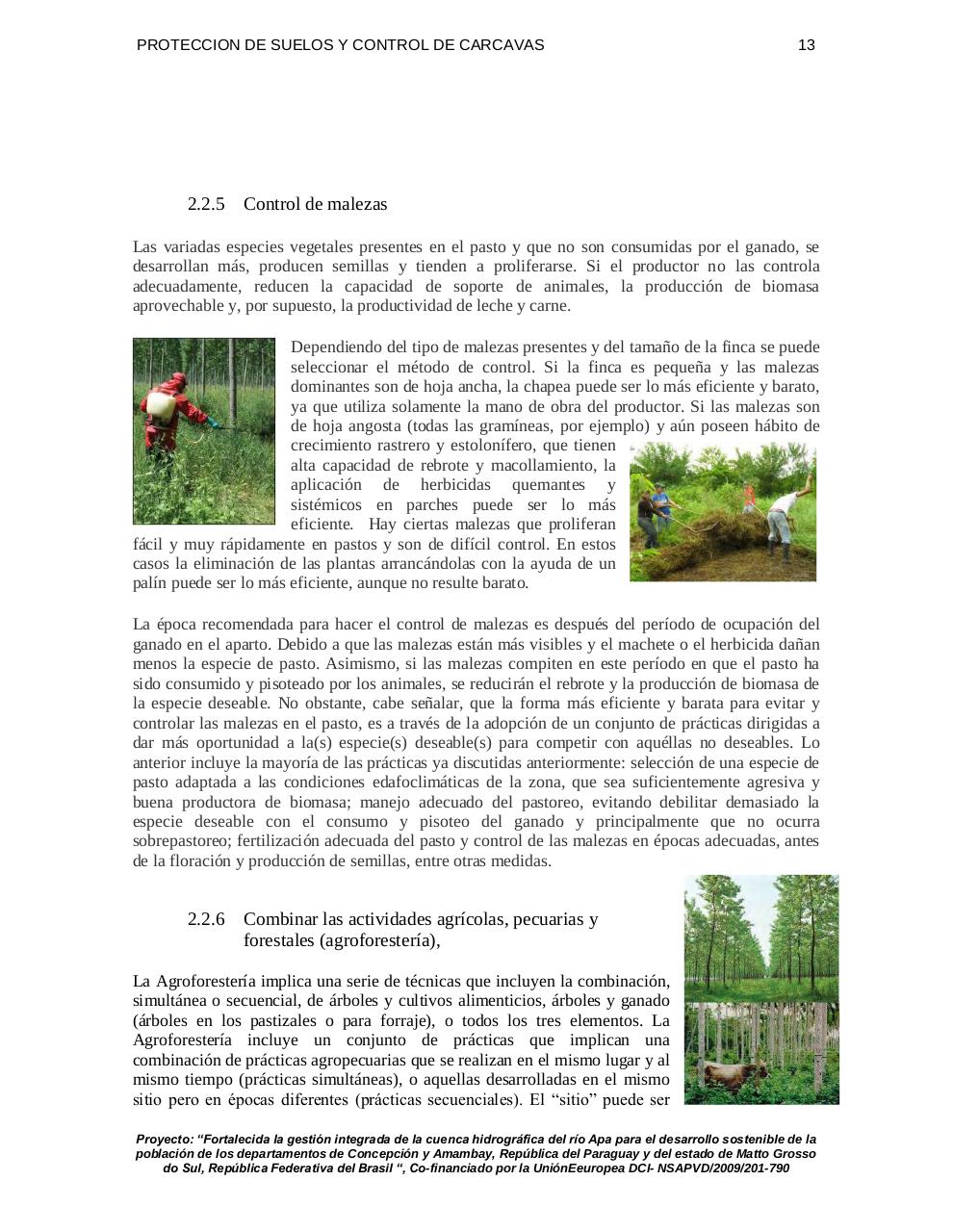 Vista previa del archivo PDF cartilla-control-de-erosion-en-suelos-giapa.pdf