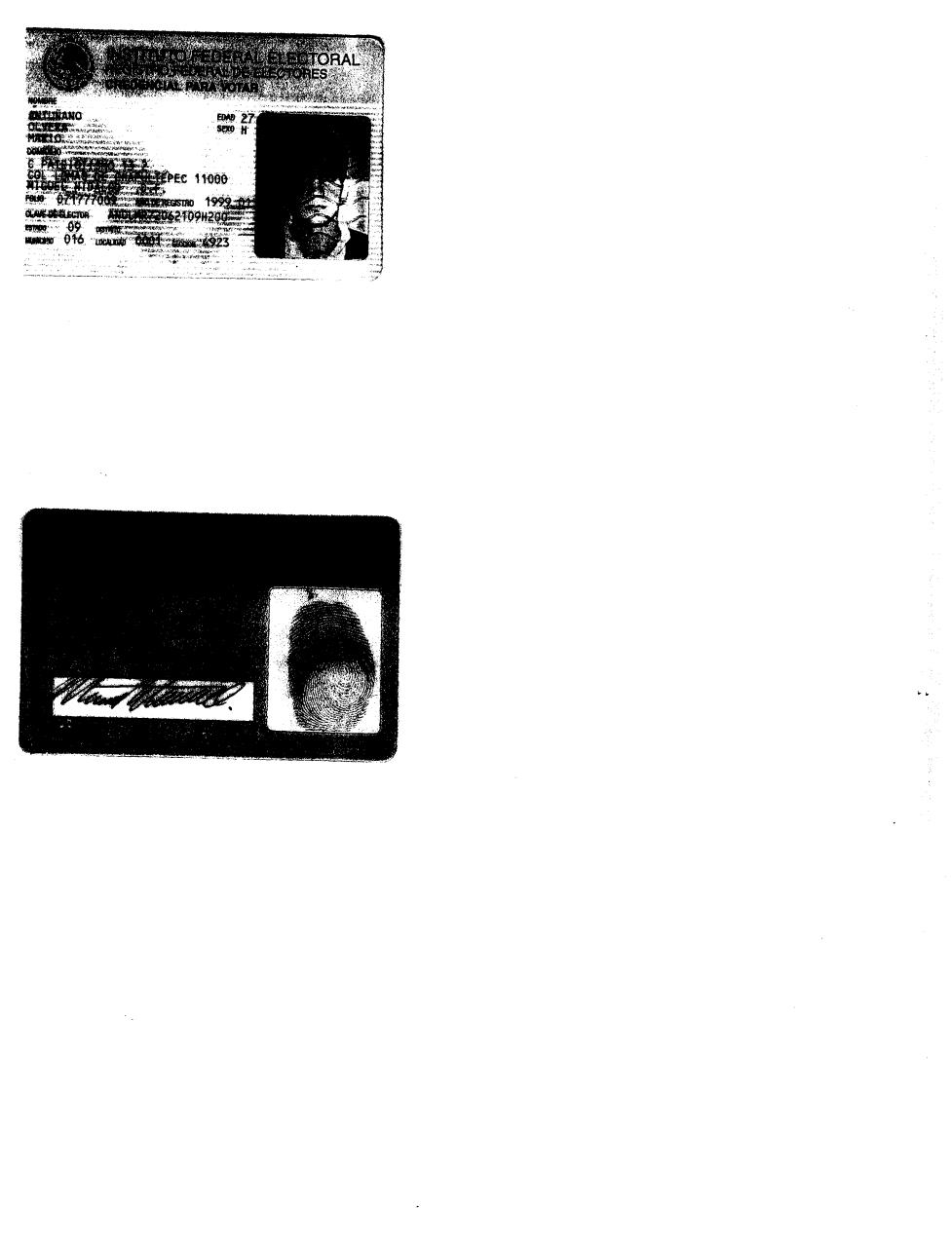 Vista previa del archivo PDF dia-muertos.pdf