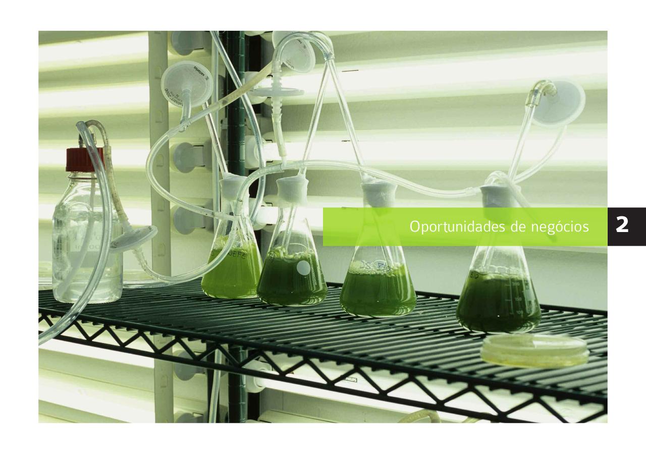 Vista previa del archivo PDF guiaportugues-2012.pdf