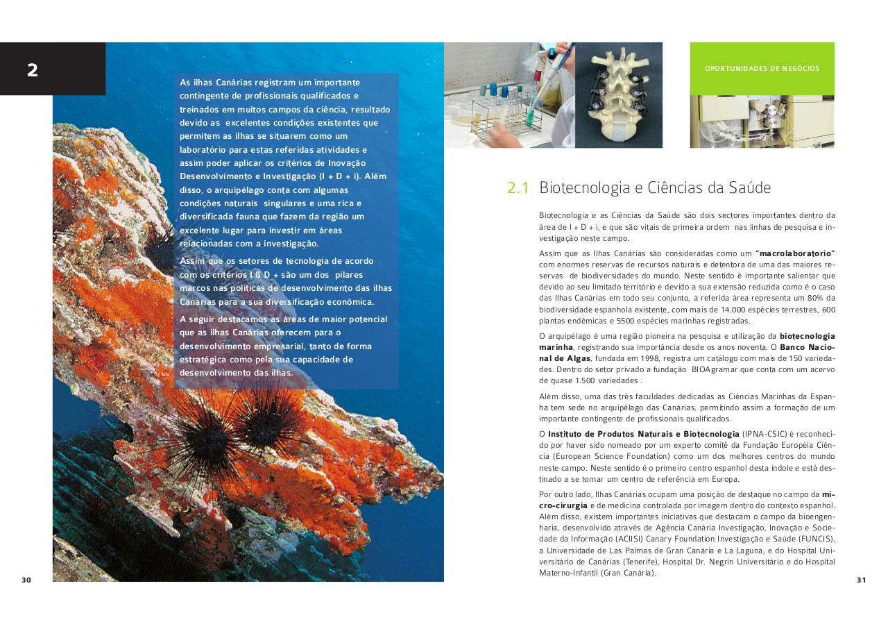 Vista previa del archivo PDF guiaportugues-2012.pdf