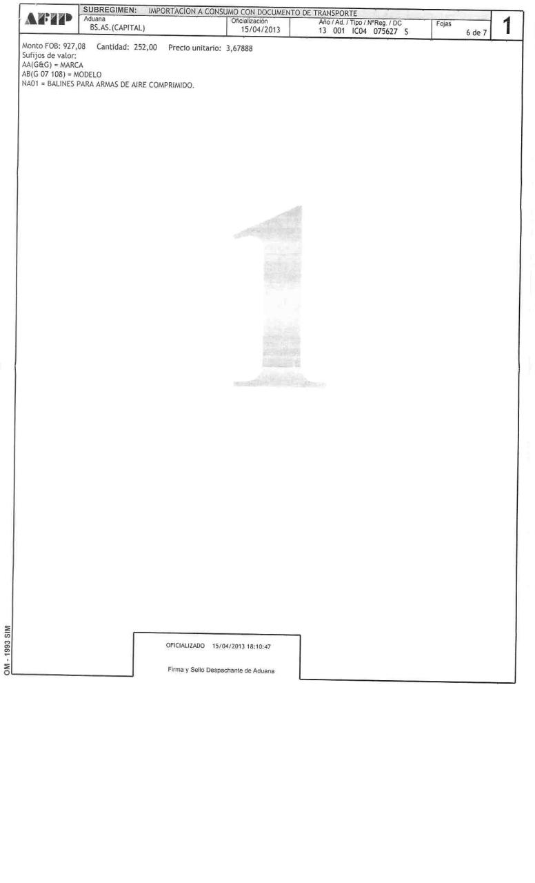 Vista previa del archivo PDF denuncia.pdf