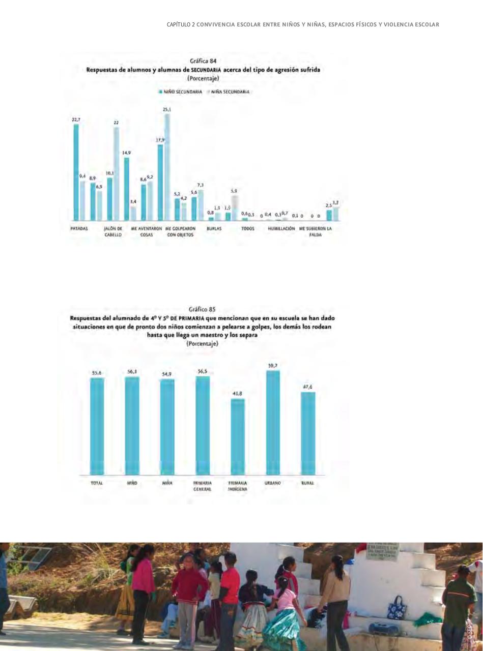 Vista previa del archivo PDF informe-nacional-sobre-violencia-de-genero-2009.pdf