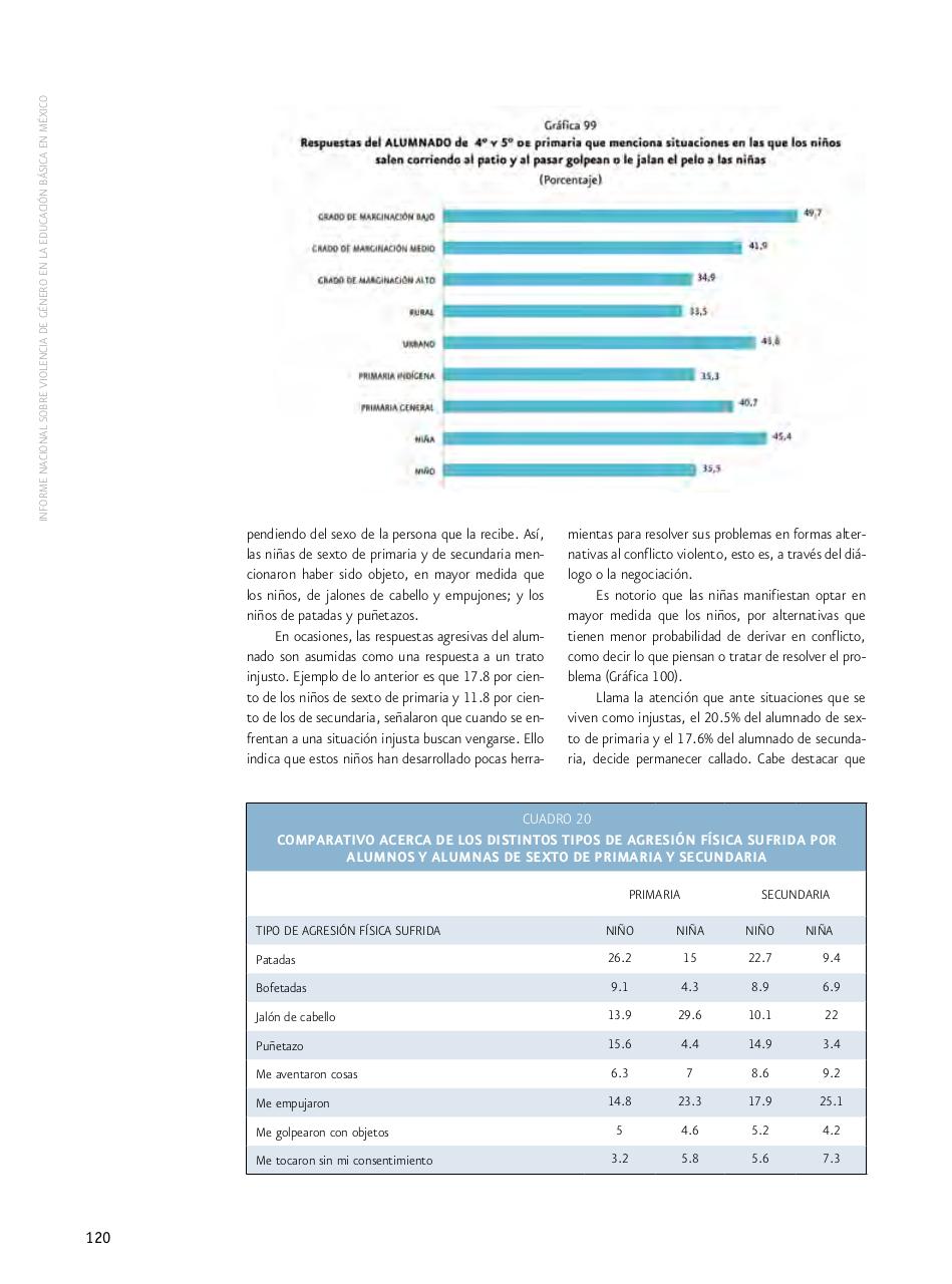 Vista previa del archivo PDF informe-nacional-sobre-violencia-de-genero-2009.pdf