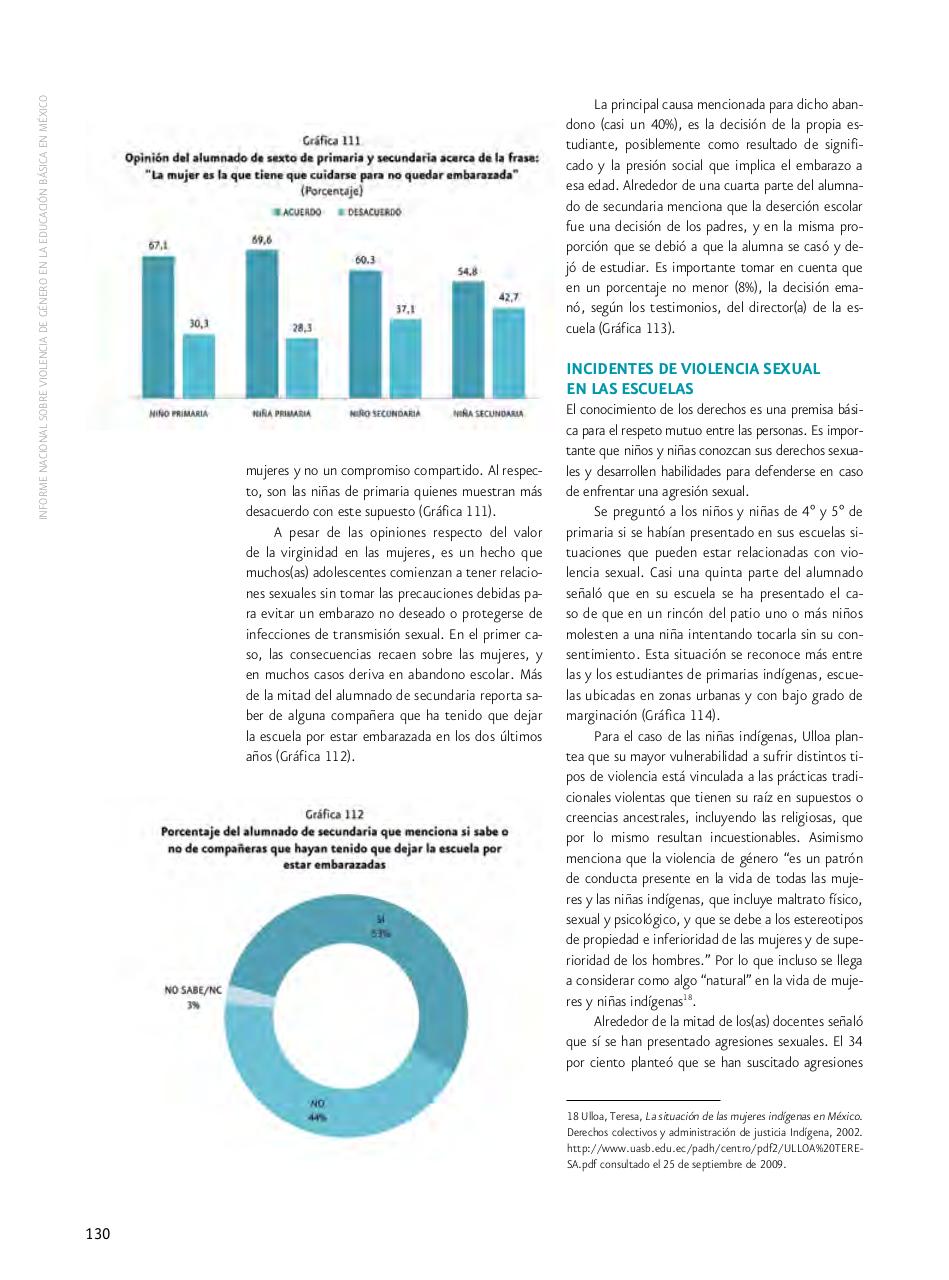 Vista previa del archivo PDF informe-nacional-sobre-violencia-de-genero-2009.pdf