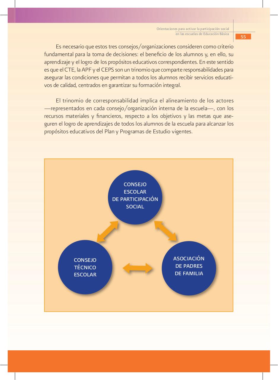 Vista previa del archivo PDF orientaciones-para-activar-la-participacion-social-educacion-basica.pdf