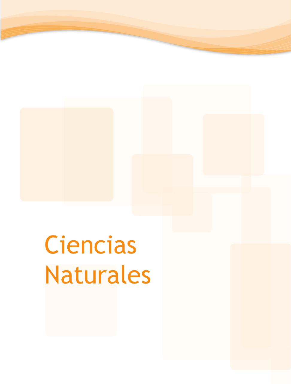 Vista previa del archivo PDF programa-6-primaria-2011.pdf