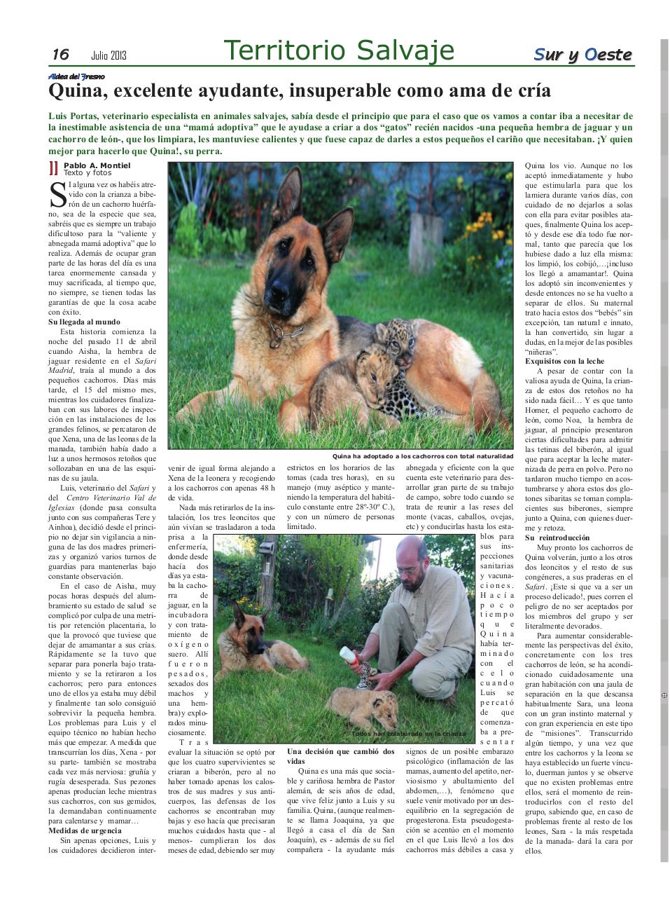 Vista previa del archivo PDF sur-y-oeste-17-pdf.pdf