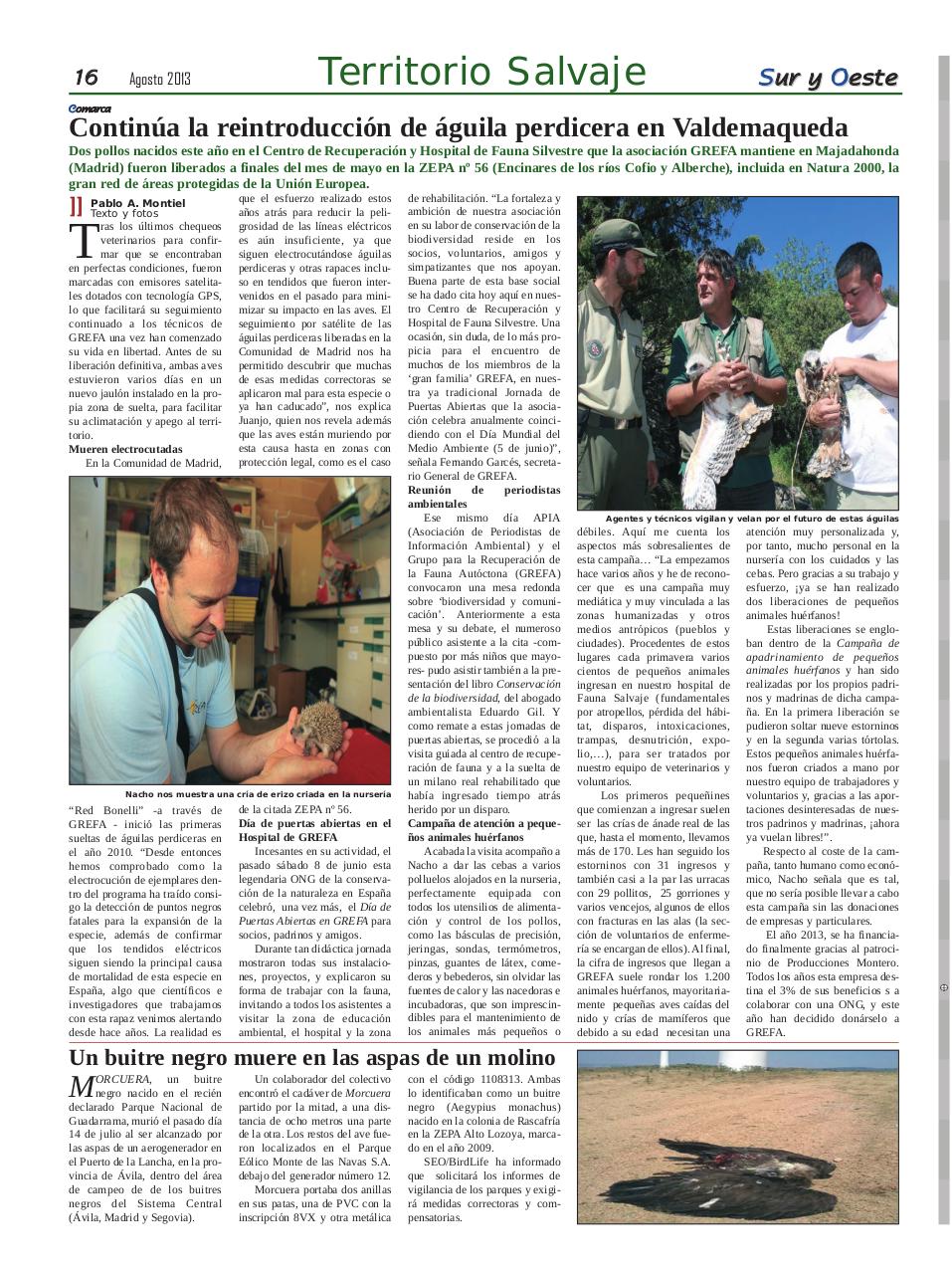 Vista previa del archivo PDF sur-y-oeste-18-pdf.pdf