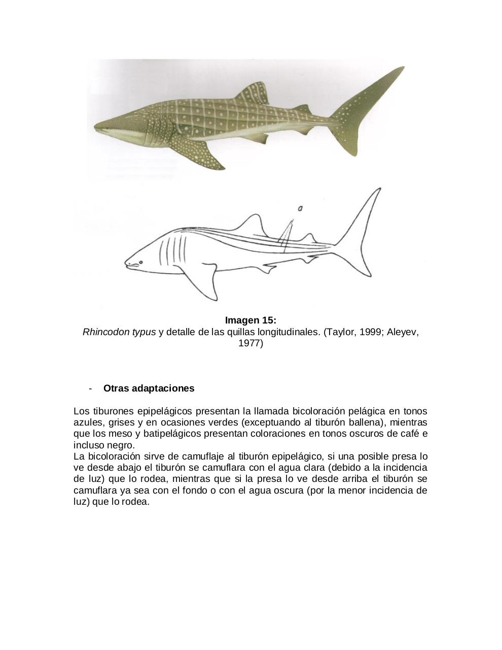 Vista previa del archivo PDF adaptaciones-morfologicas-de-los-tiburones-al-pielagos.pdf