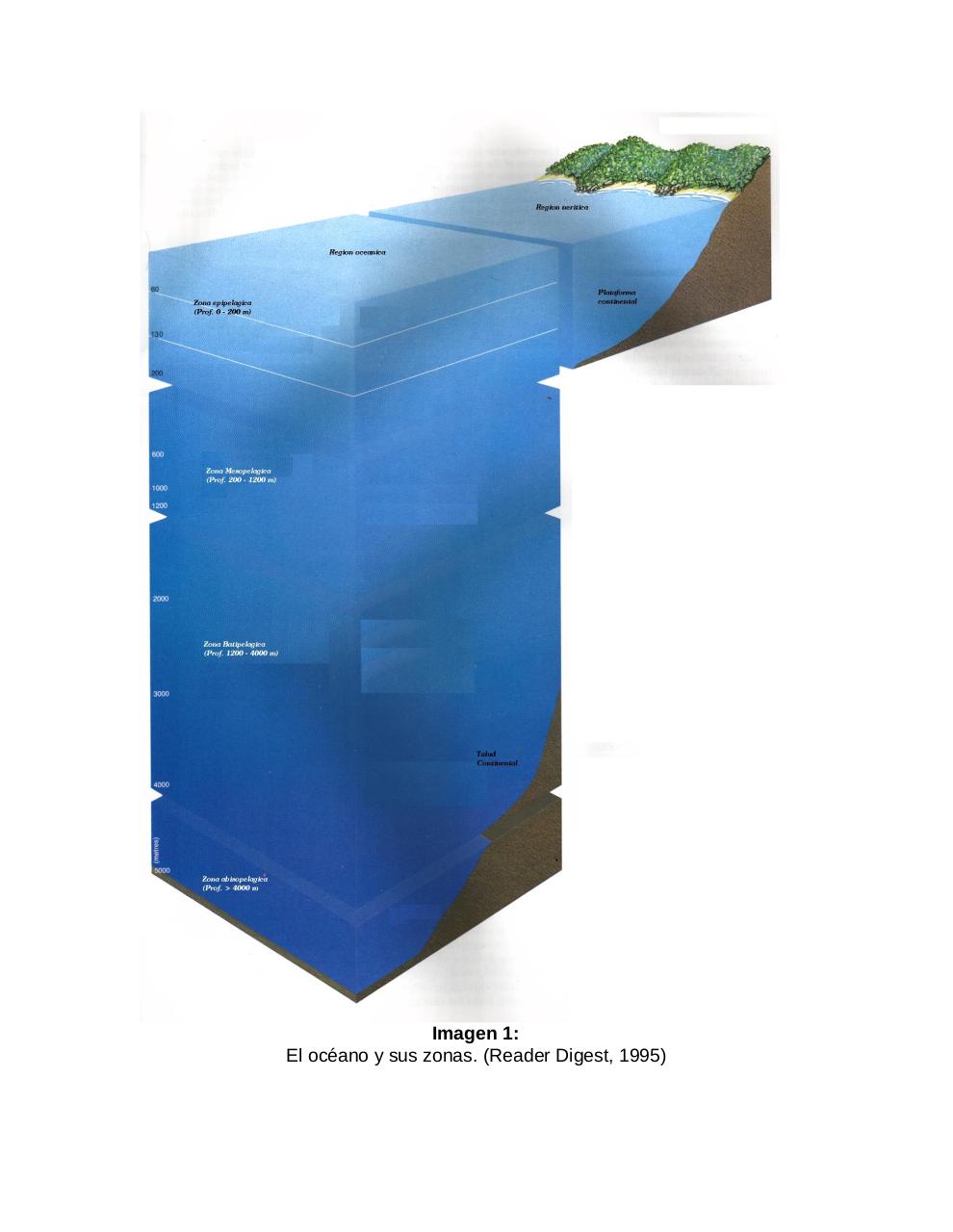 Vista previa del archivo PDF adaptaciones-morfologicas-de-los-tiburones-al-pielagos.pdf