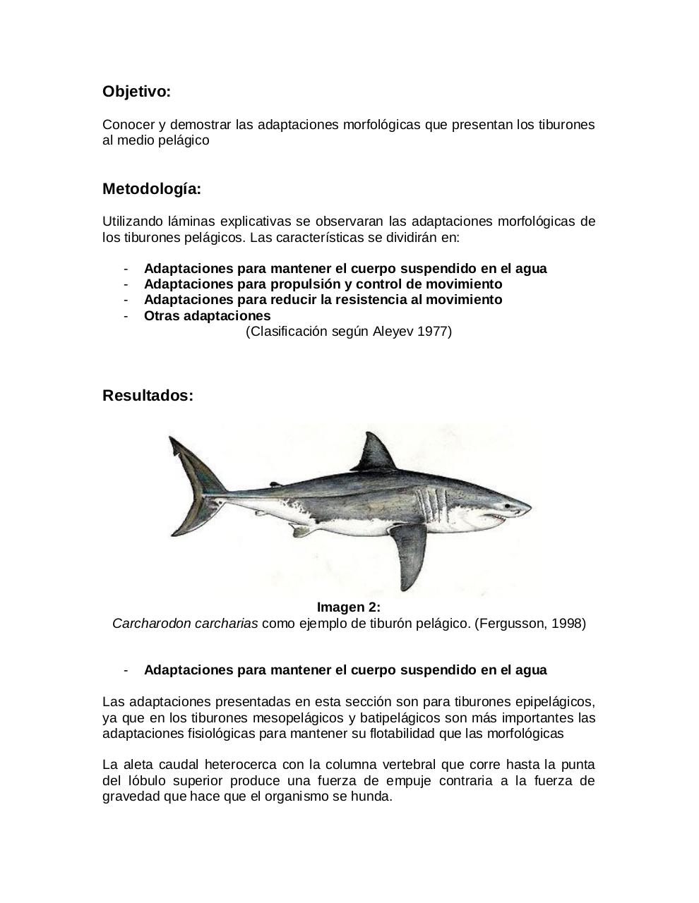 Vista previa del archivo PDF adaptaciones-morfologicas-de-los-tiburones-al-pielagos.pdf