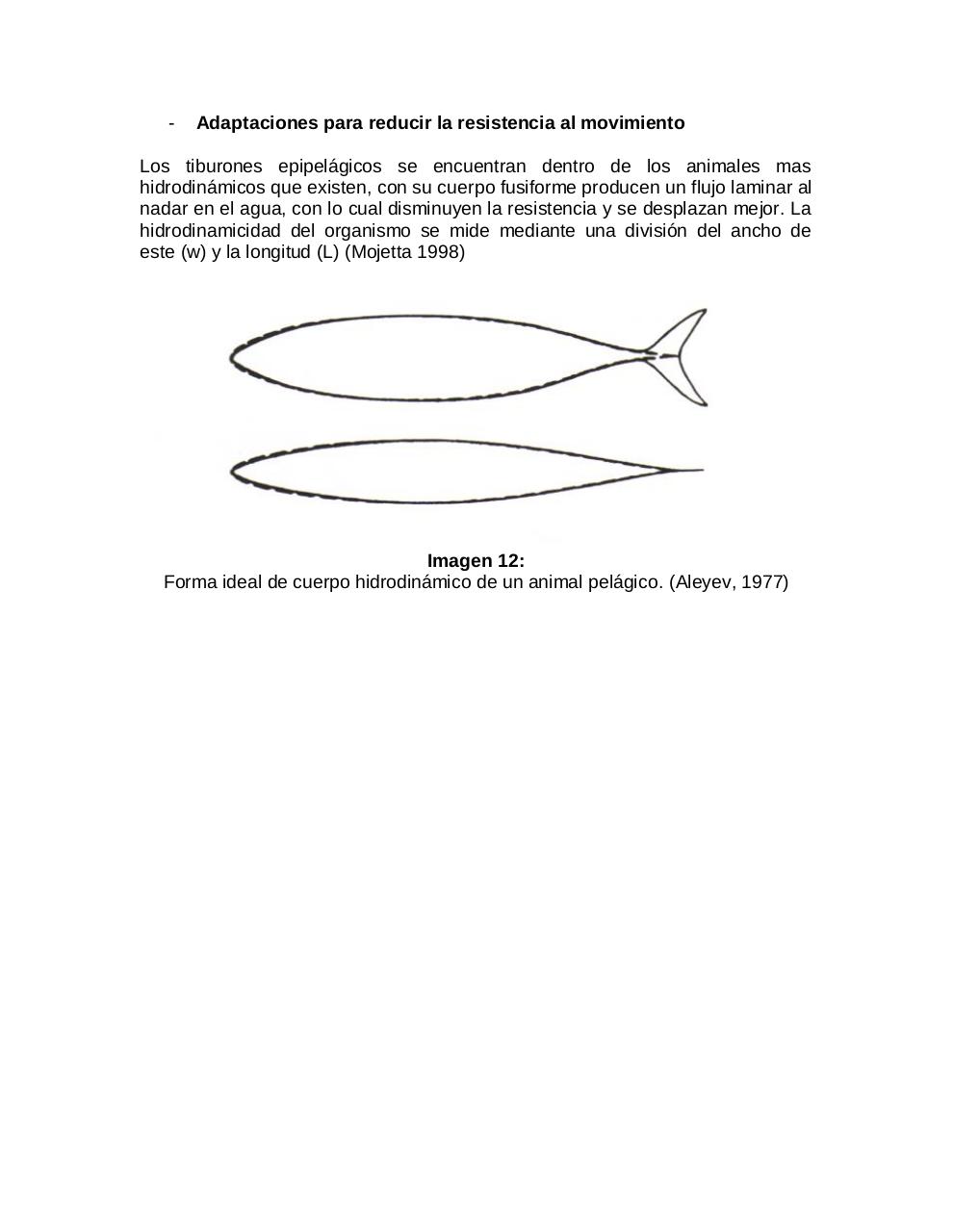Vista previa del archivo PDF adaptaciones-morfologicas-de-los-tiburones-al-pielagos.pdf