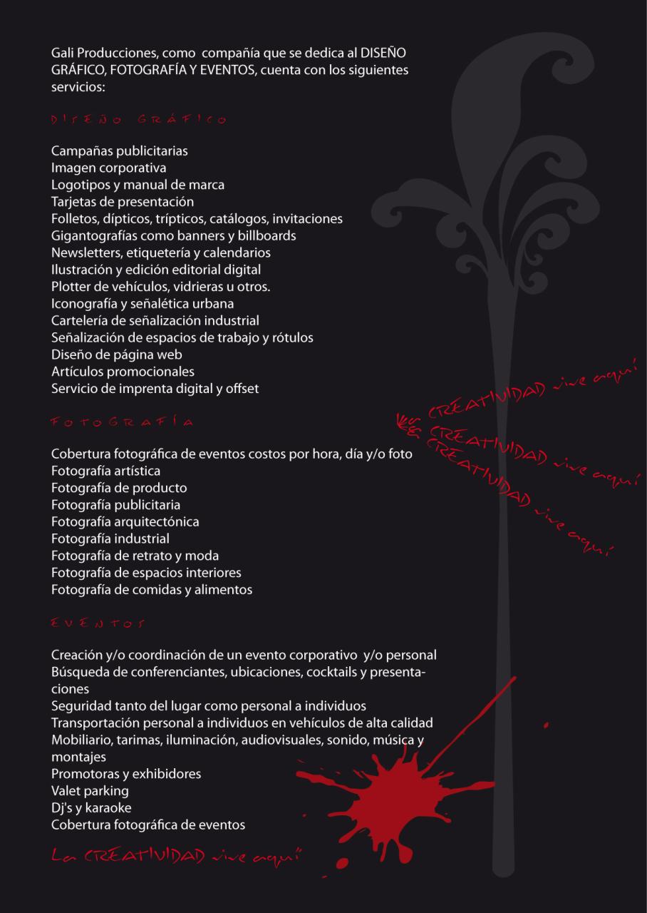 Vista previa del archivo PDF presentacion-gali-producciones-web.pdf
