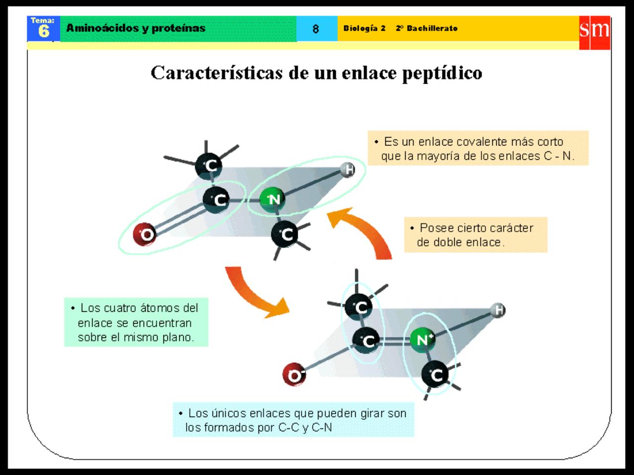 Vista previa del archivo PDF biologia-proteinas-pdf.pdf