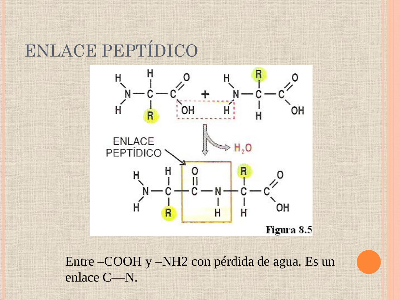Vista previa del archivo PDF biologia-proteinas-pdf.pdf